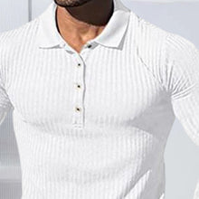 Load image into Gallery viewer, Stretch Vertical Long-sleeved Polo Sweater