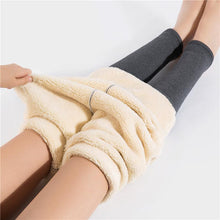 Load image into Gallery viewer, Super thick cashmere Leggings
