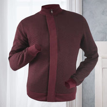 Load image into Gallery viewer, Solid Zip Stand Collar Jacket
