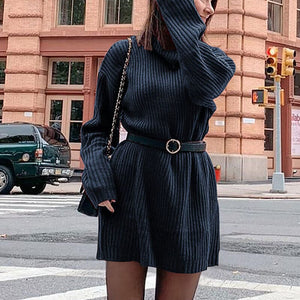 Women's Turtleneck Knit Long Sleeve Chunky Loose Sweater Dress
