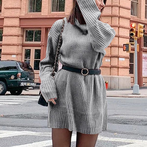 Women's Turtleneck Knit Long Sleeve Chunky Loose Sweater Dress